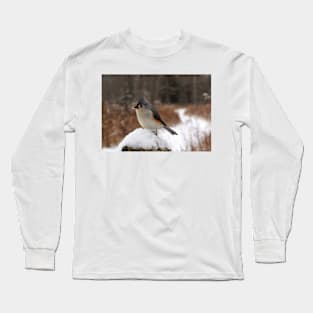 Titmouse in the Snow Long Sleeve T-Shirt